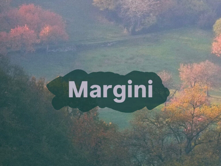 Margini